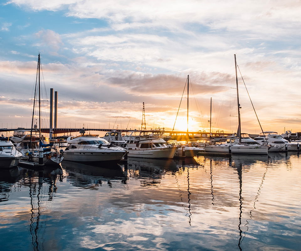 Economic Growth and Innovation